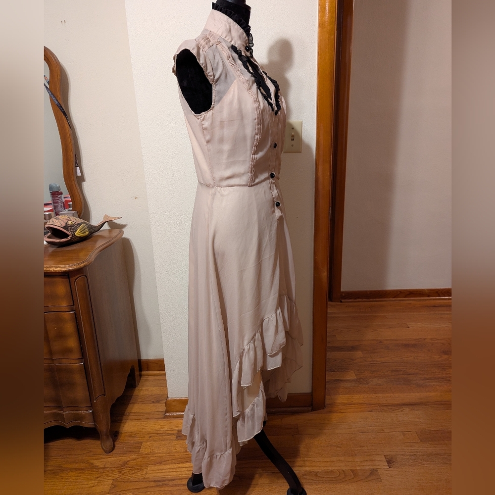 Voodoo Vixen Antique Pink Cream Victorian Goth High Low Vintage Unique Gown - Picture 5 of 10